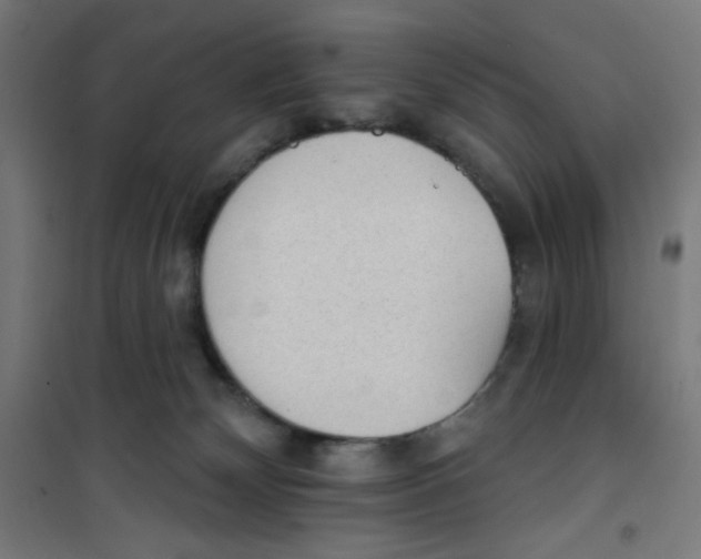 X0000100330132200807031244