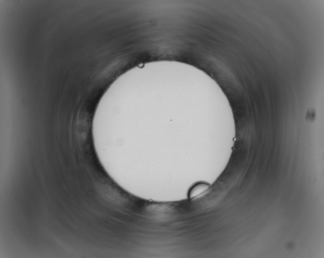 X0000100330133200807031244