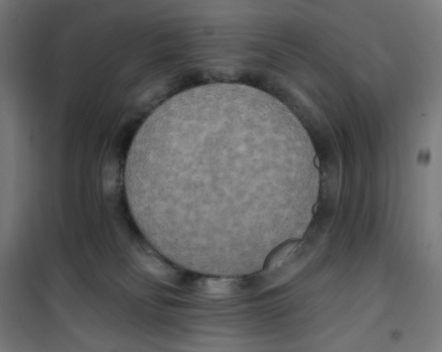 X0000100330134200807031244