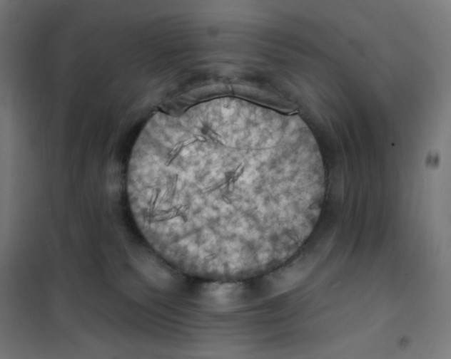 X0000100330135200807031244
