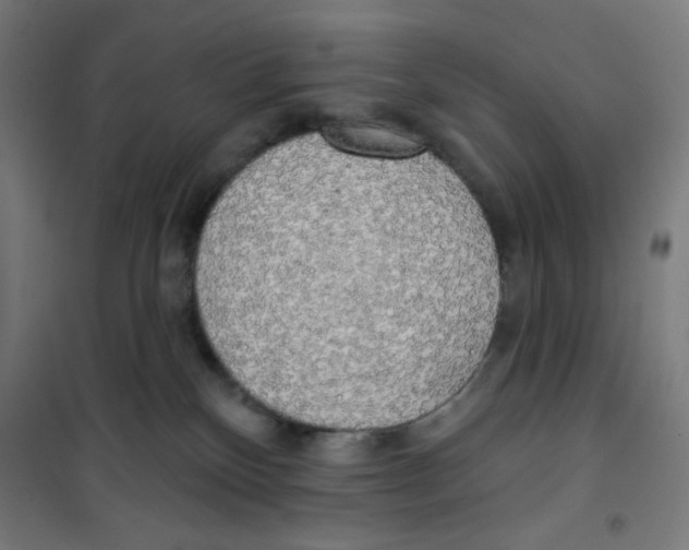 X0000100330136200807031244