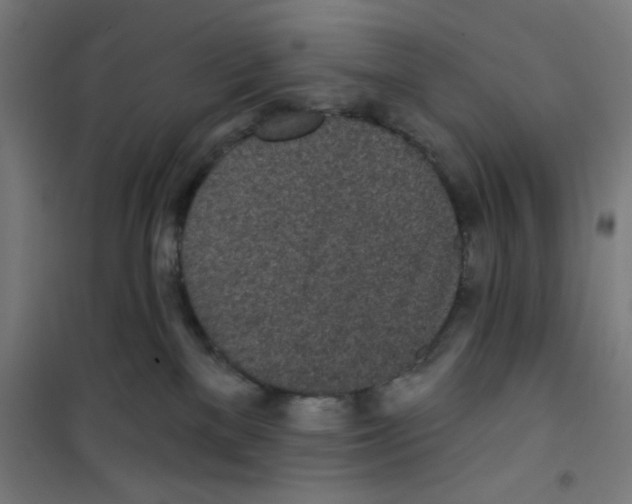 X0000100330137200807031244