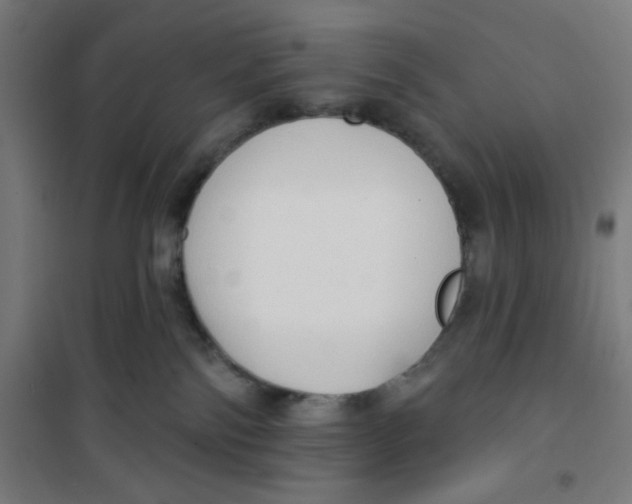 X0000100330138200807031244