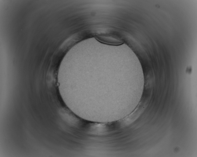 X0000100330140200807031244