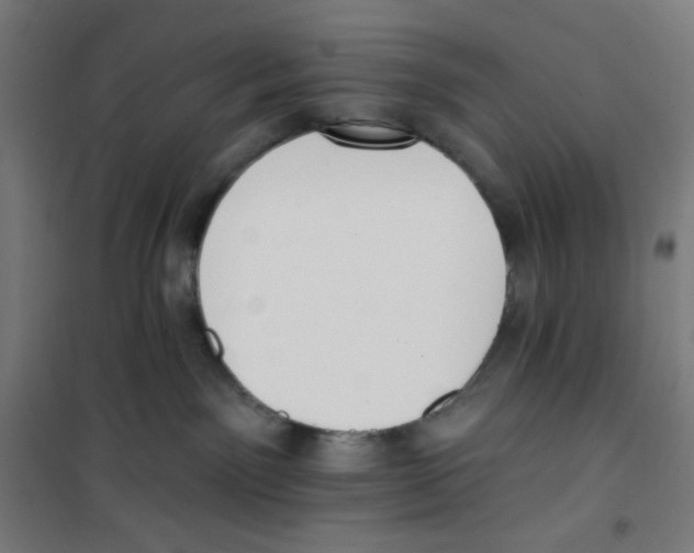 X0000100330141200807031244