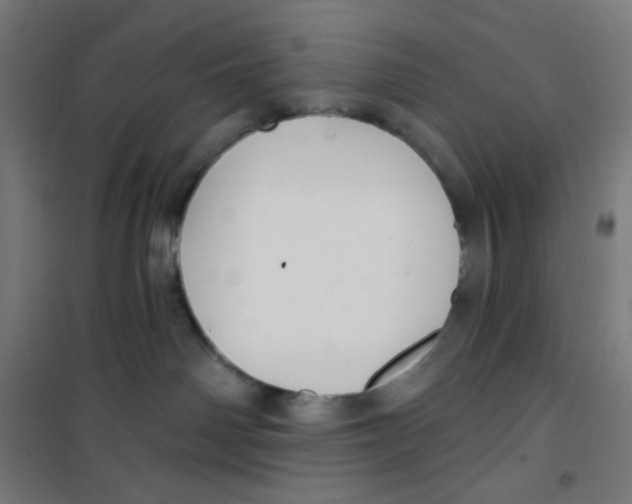 X0000100330142200807031244