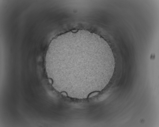 X0000100330144200807031244