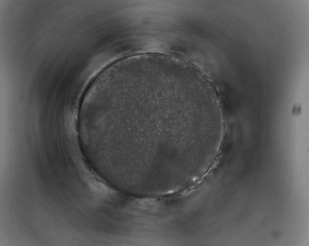 X0000100330146200807031243