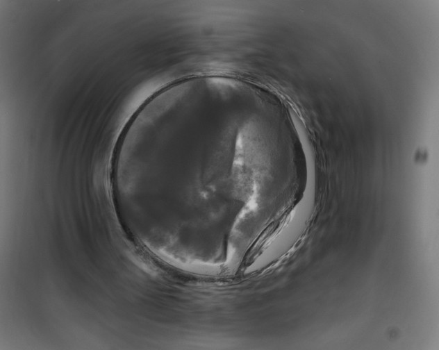 X0000100330147200807031243