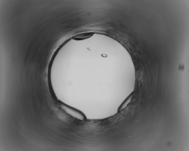 X0000100330148200807031243