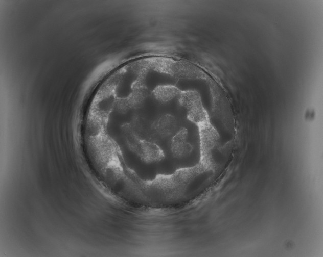 X0000100330149200807031243