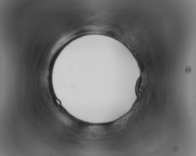 X0000100330150200807031243