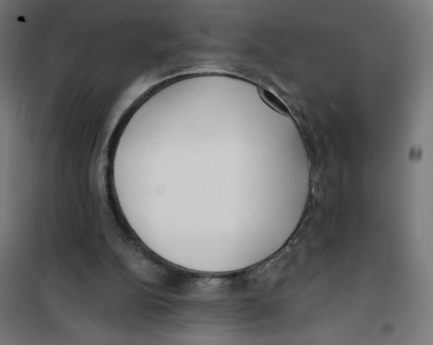 X0000100330152200807031243