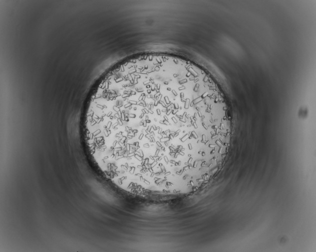 X0000100330155200807031243