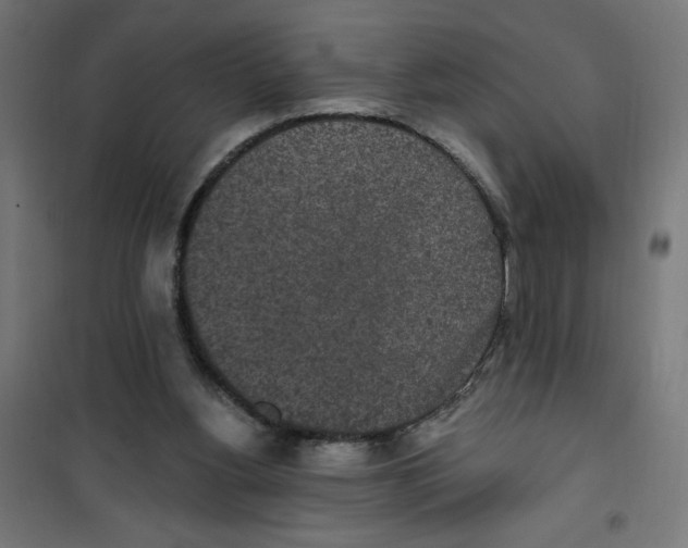 X0000100330156200807031243