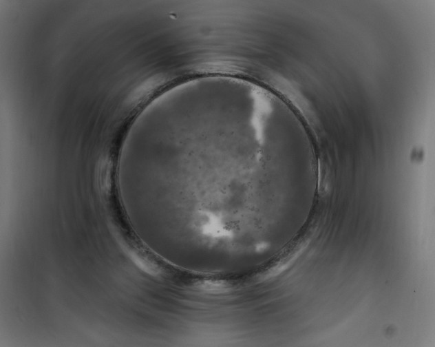 X0000100330157200807031243