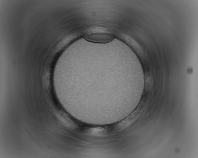 X0000100330158200807031243