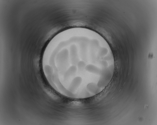 X0000100330159200807031243