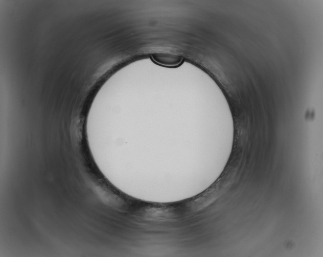 X0000100330160200807031243