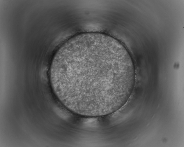 X0000100330162200807031243