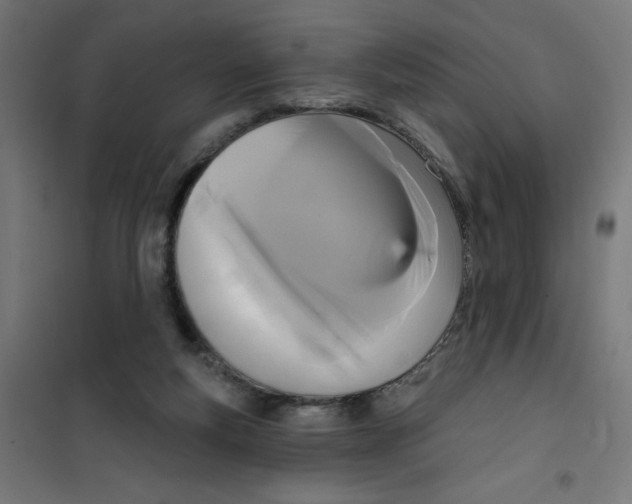 X0000100330163200807031243