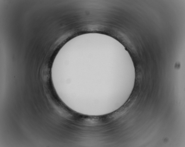 X0000100330164200807031243