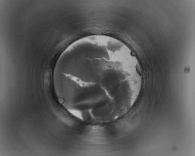 X0000100330165200807031243