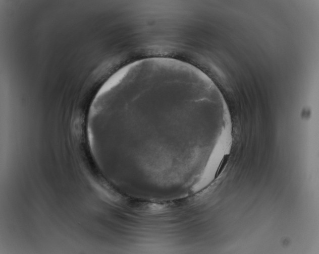 X0000100330166200807031243