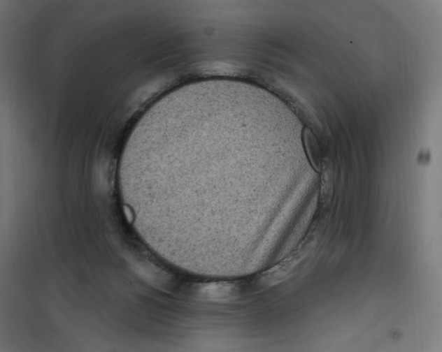 X0000100330168200807031243