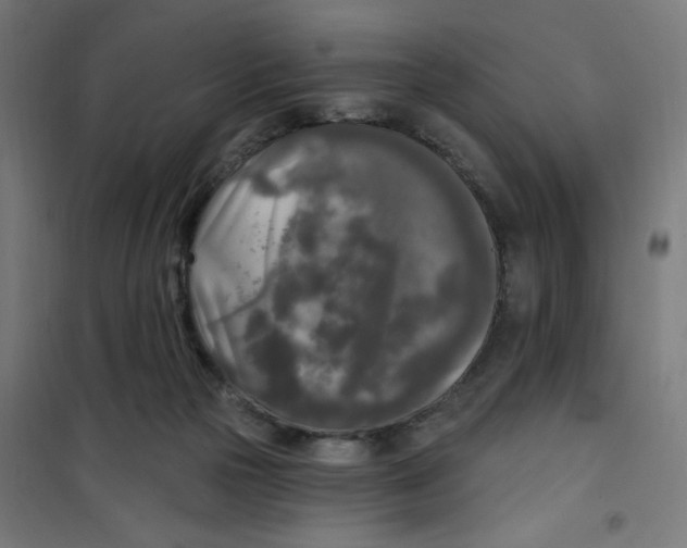 X0000100330169200807031243