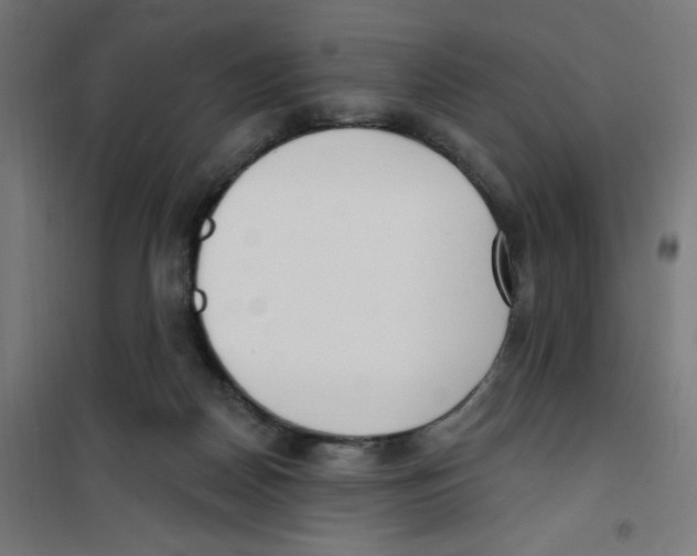 X0000100330170200807031243