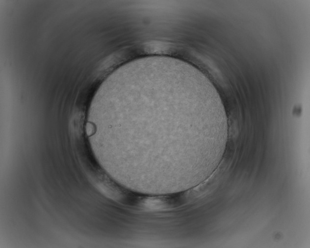 X0000100330171200807031243