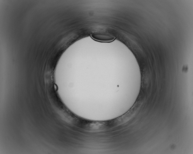 X0000100330172200807031243