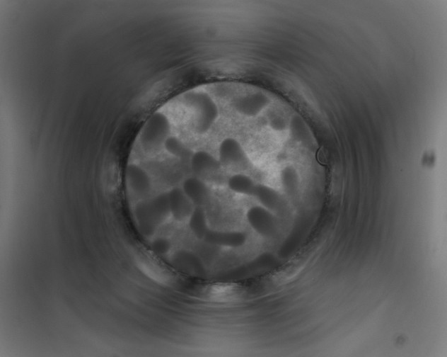 X0000100330173200807031243