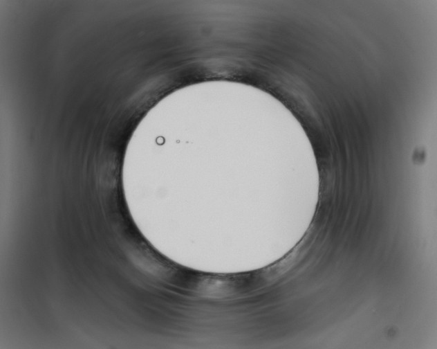 X0000100330174200807031243