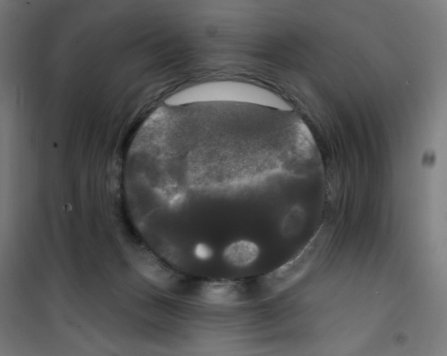 X0000100330175200807031243