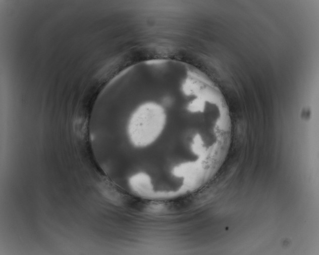 X0000100330177200807031243