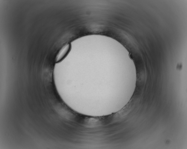 X0000100330180200807031243