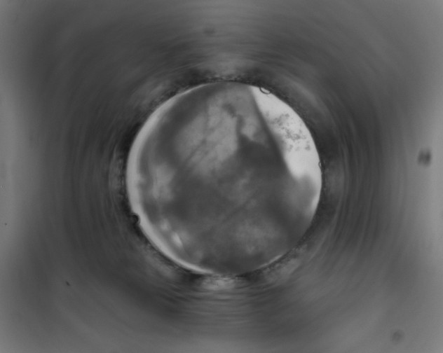 X0000100330181200807031243