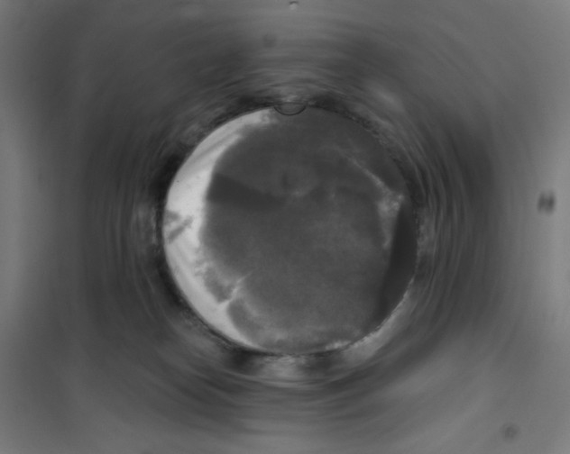 X0000100330182200807031243