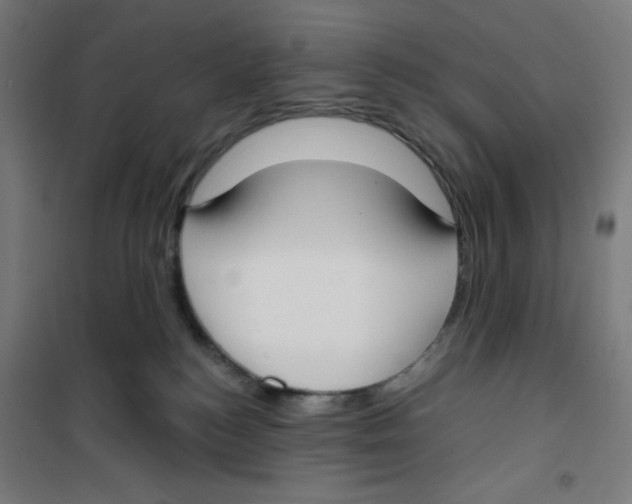 X0000100330184200807031243