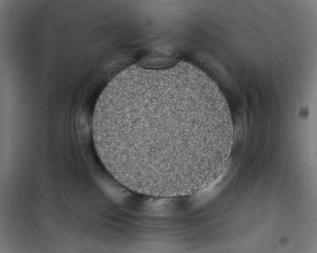 X0000100330186200807031243