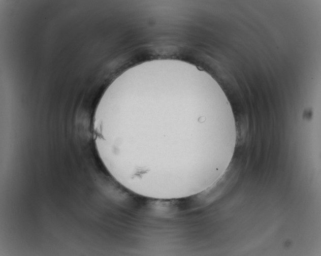 X0000100330187200807031243