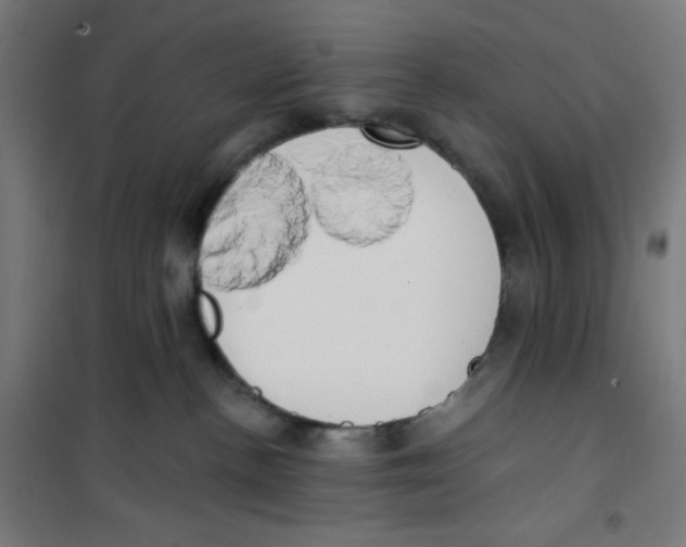 X0000100330188200807031243