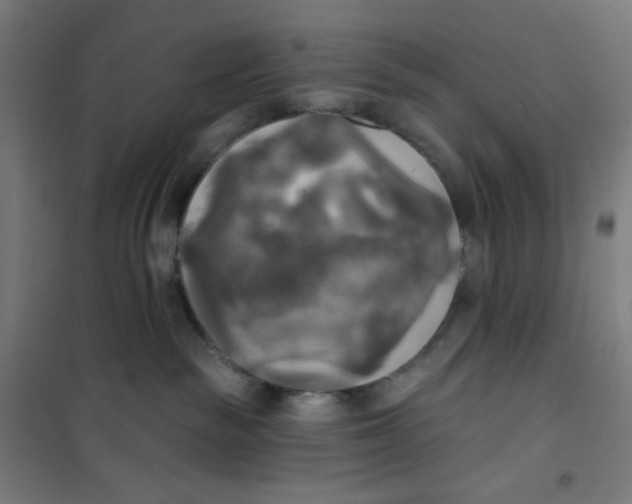 X0000100330189200807031244