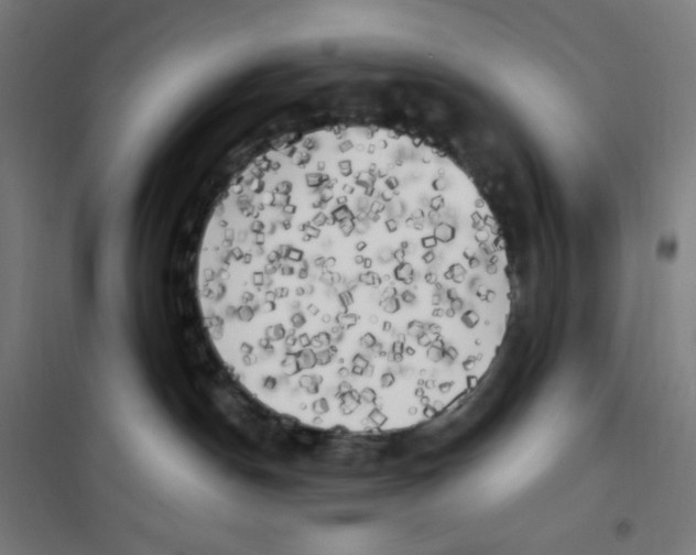 X0000100330190200807031244