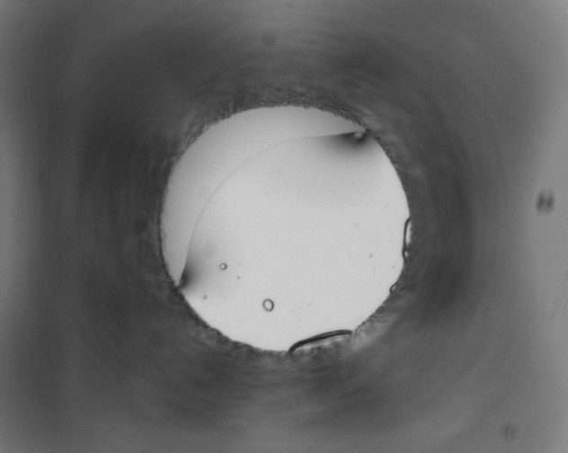 X0000100330192200807031244