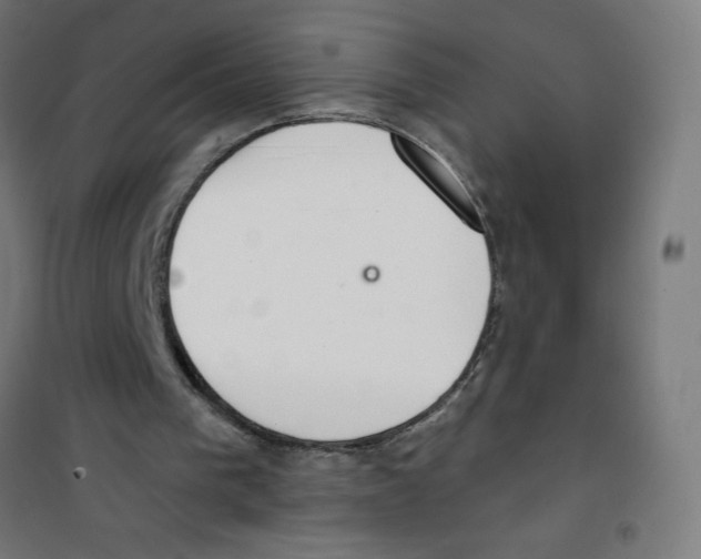 X0000100330193200807031243