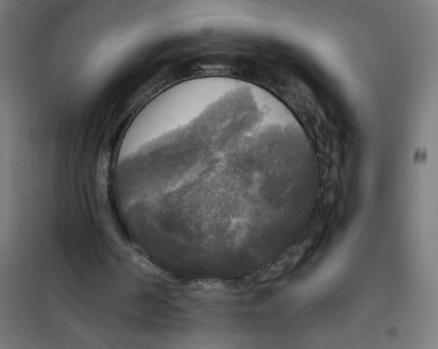 X0000100330194200807031243