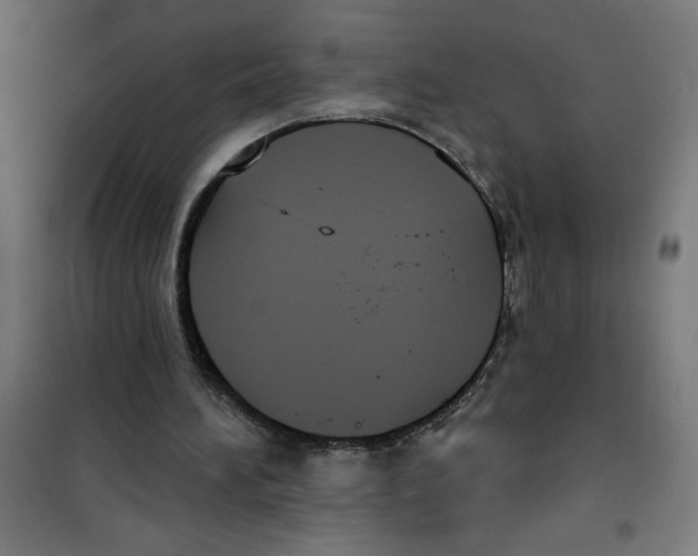 X0000100330196200807031243